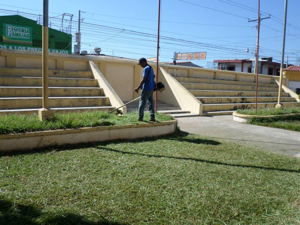 Trabajos de Poda y Limpieza en Gimnasio Municipal