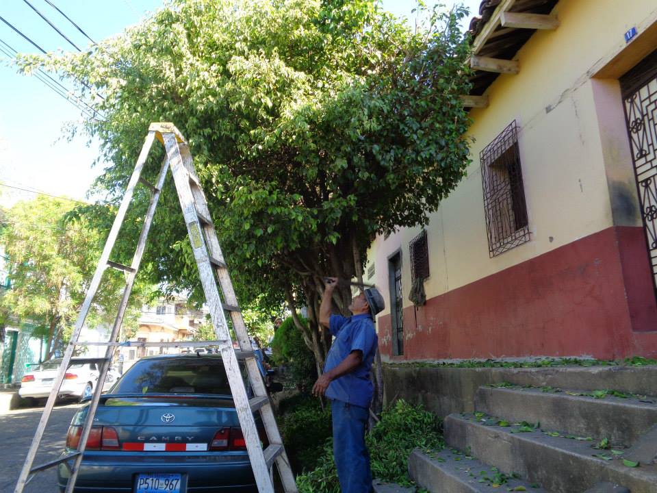 Municipalidad, trabajando por el ornato y limpieza de la Ciudad