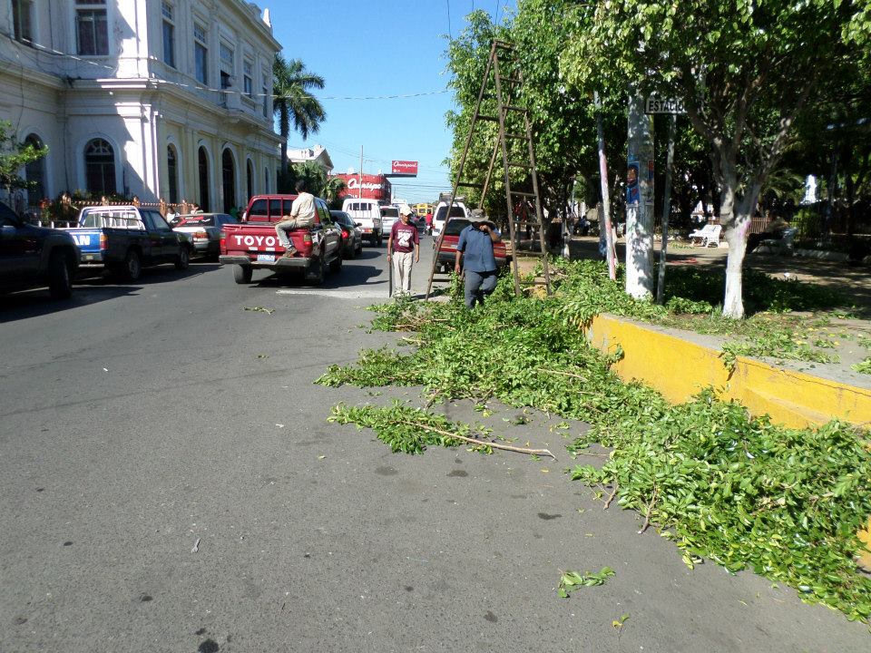 Municipalidad Trabaja en el Mantenimiento de Parques