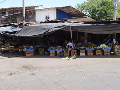 Unidad Municipal de Medio Ambiente Trabajando en Levantamiento de Censos