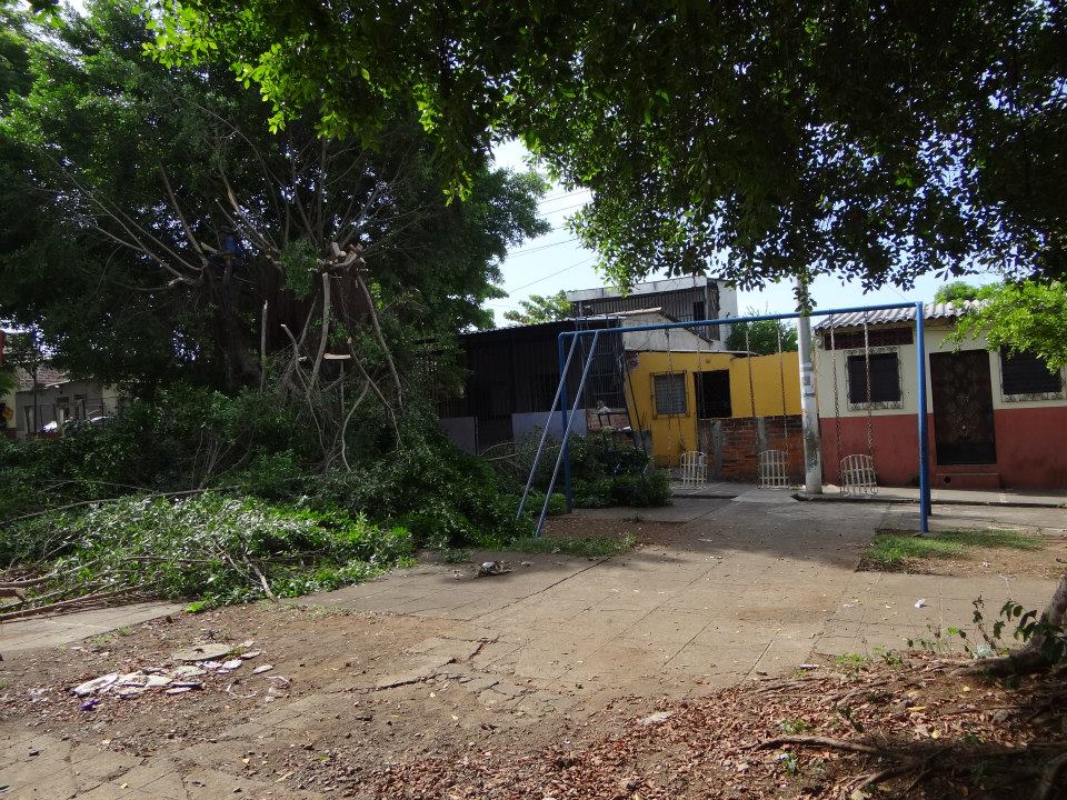 Trabajos de poda en zona verde de Colonia El naranjo