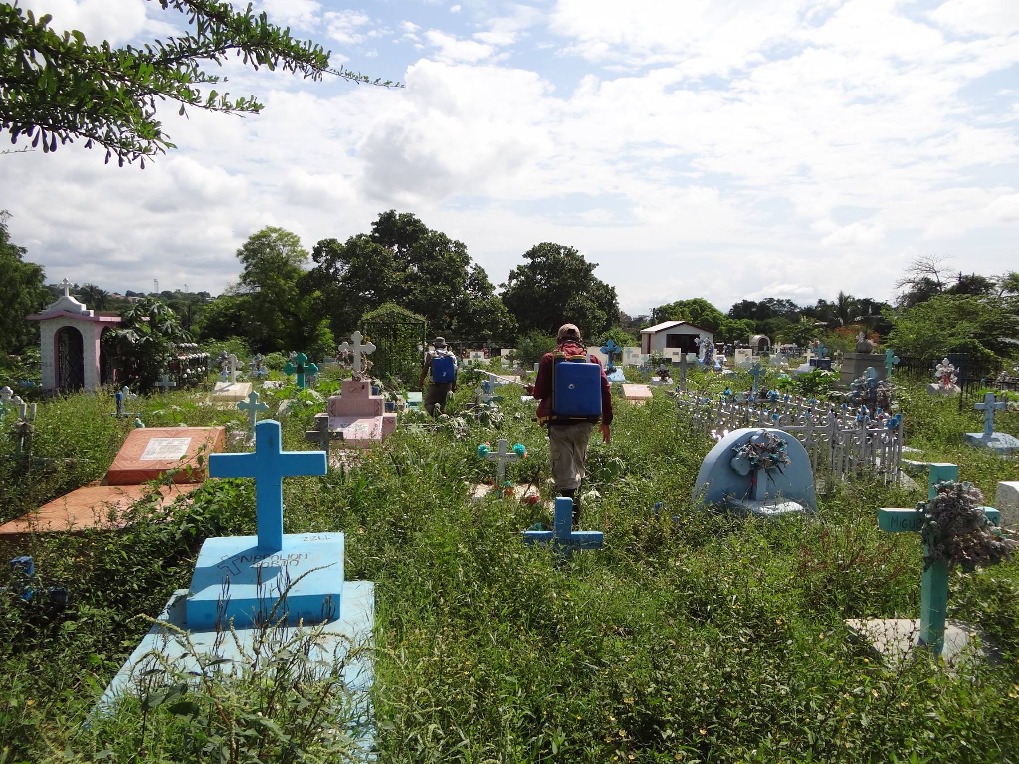 Fumigación de Herbicida en Cementerio Municipal Norte