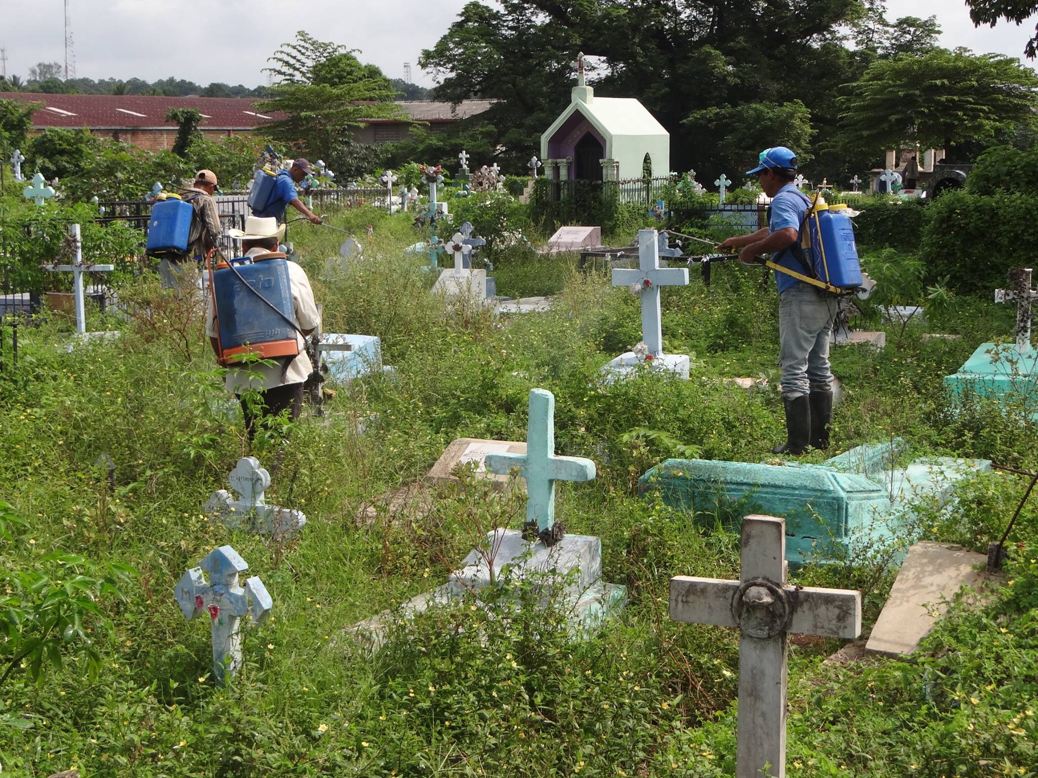 Continuan fumigación de herbicida en la maleza del Cementerio Sur