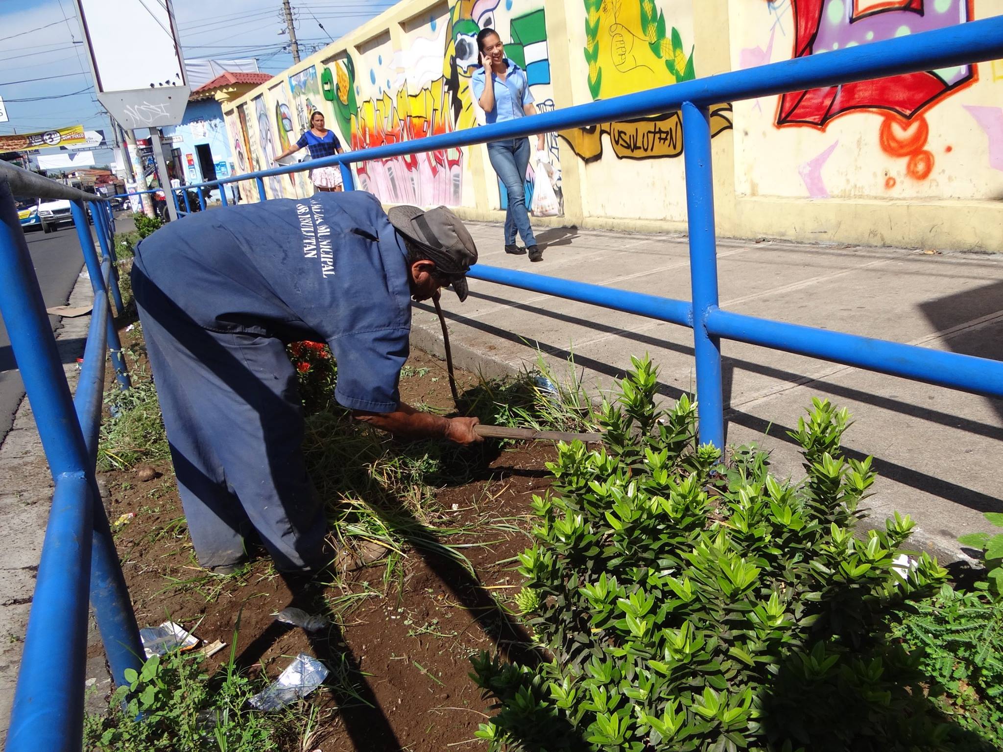 Poda de Maleza en Jardineras del Gimnasio Municipal