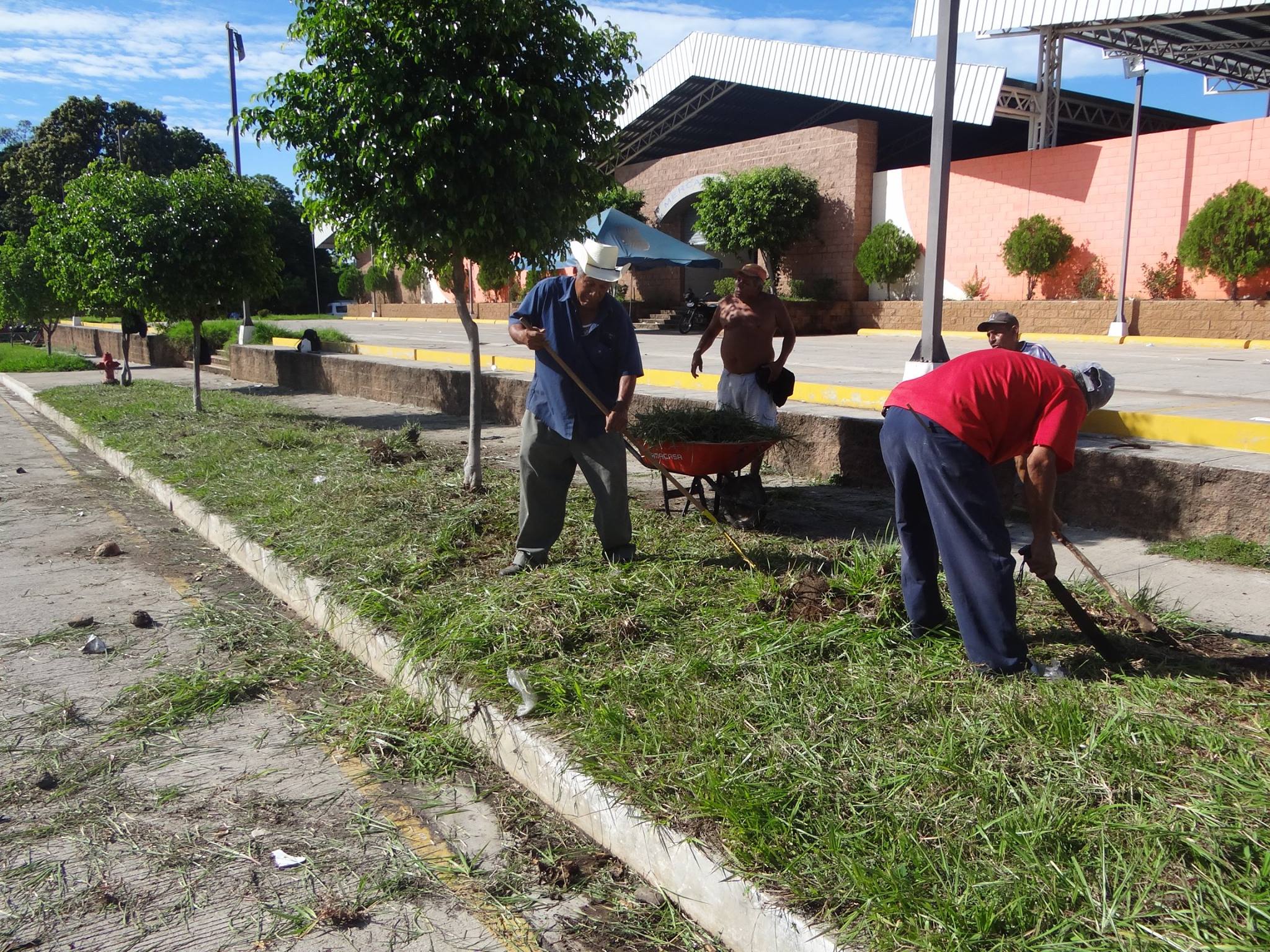 Poda de grama en los alrededores del Mercado nº 5