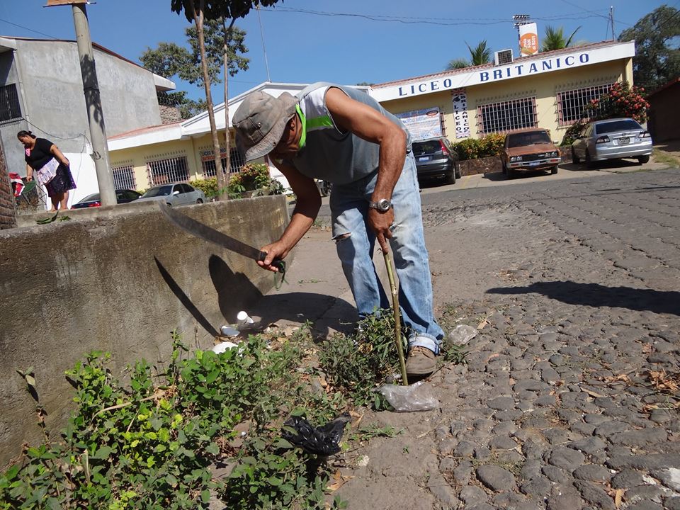 Trabajos de Poda de Maleza en 4ª Avenida Norte