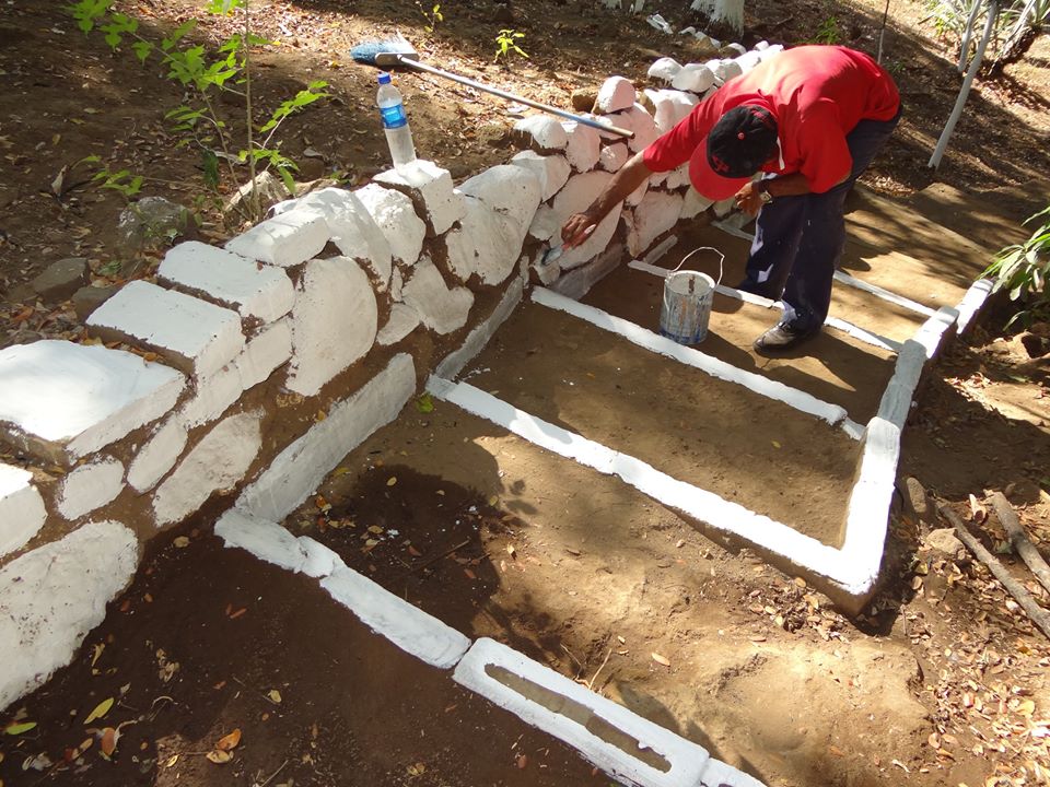 Trabajos De Pintura En Arboles Del Centro de Gobierno Municipal