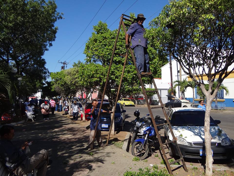 Trabajos de Limpieza y Ornato En Parque Raúl F. Munguía.