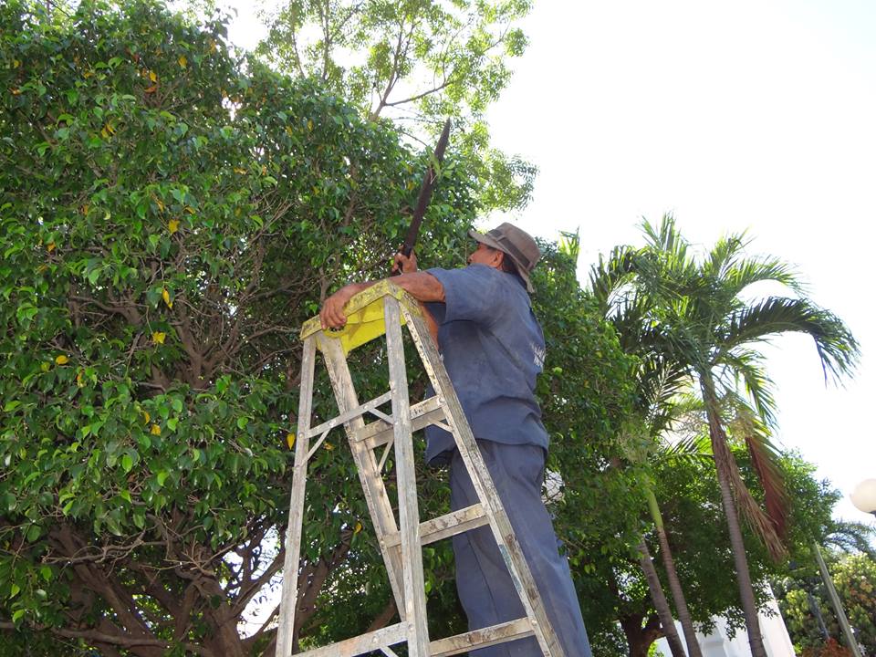 Trabajos De Limpieza y Ornato En Parque Raúl F. Munguía.