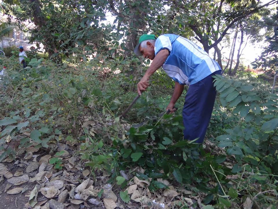 Poda de Maleza en la Zona Verde de Residencial Don Bosco