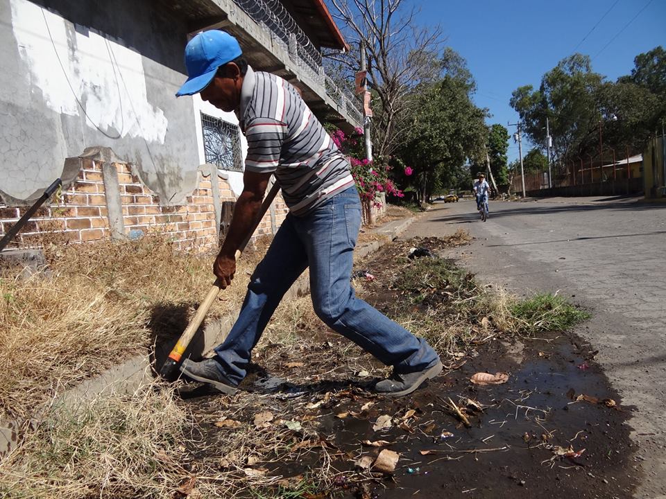 Poda de Maleza y Limpieza de Cunetas en 18 Av. Nte.