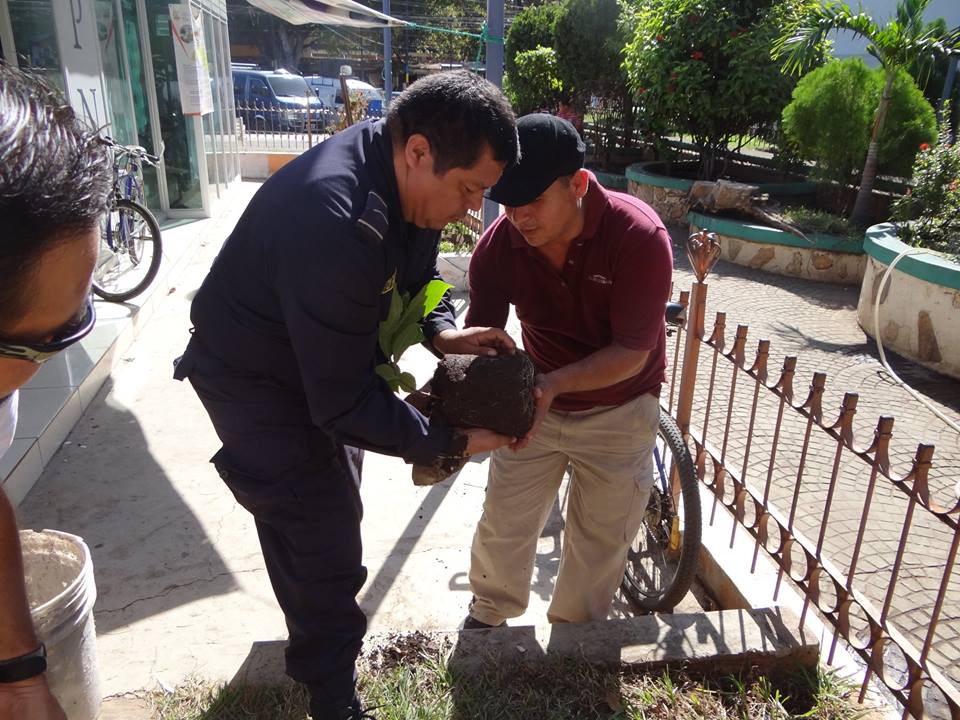 Trabajos de Siembra de Arbolitos en Base Policial