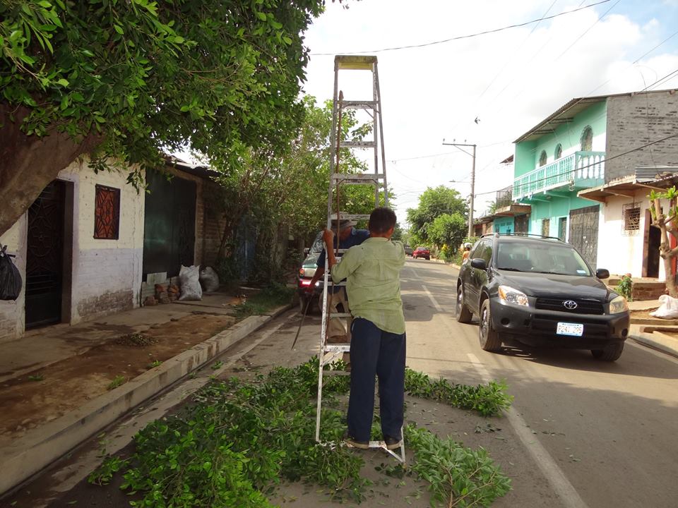 Poda de Arbustos en Calle Principal de Barrio El Molino