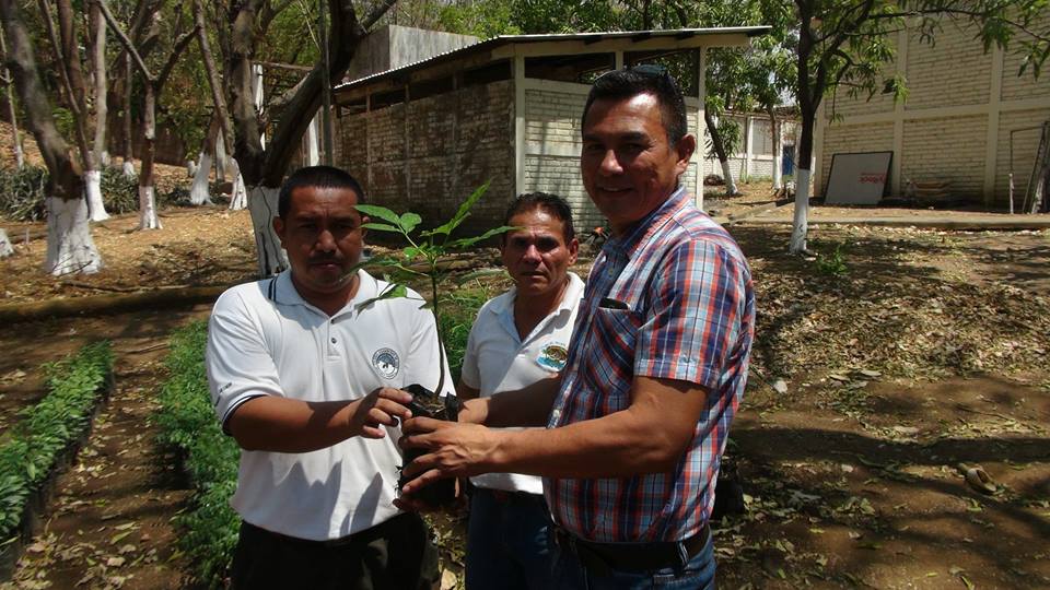 Piedra Alcalde Realizó Entrega de Arbolitos del Vivero Municipal