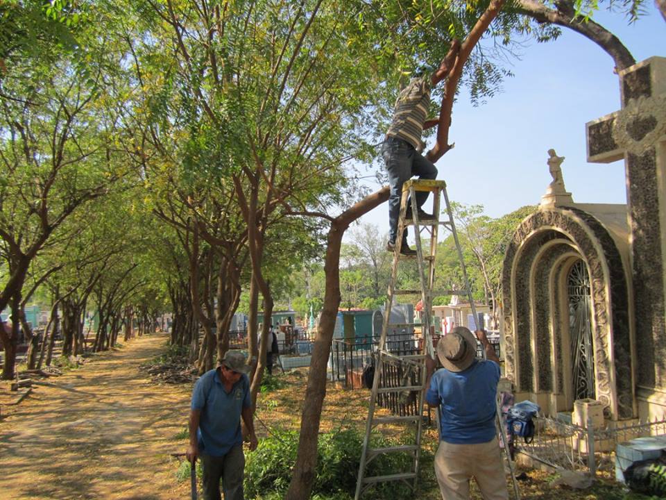 Trabajos de Limpieza y Ornato en Cementerio Norte