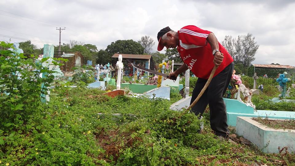 Limpieza y Ornato en Cementerio General Sur