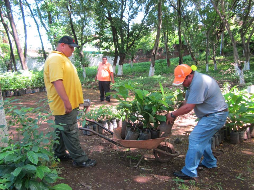 Trabajos de Mantenimiento en Vivero Forestal Municipal