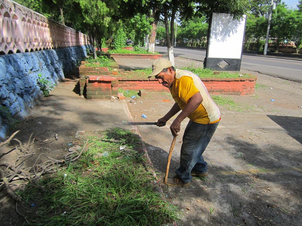 Trabajos de Poda en Jardineras del Cementerio Sur General