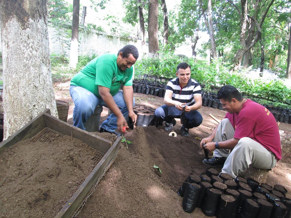 Ayúdanos a la reforestación de Usulután