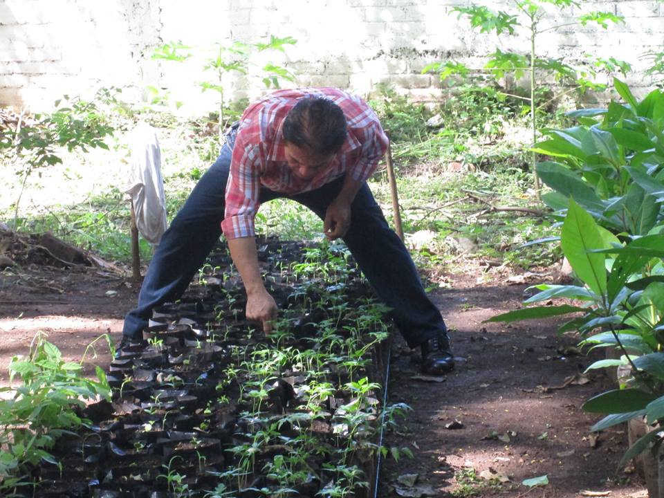 Ayúdanos a la reforestación de Usulután