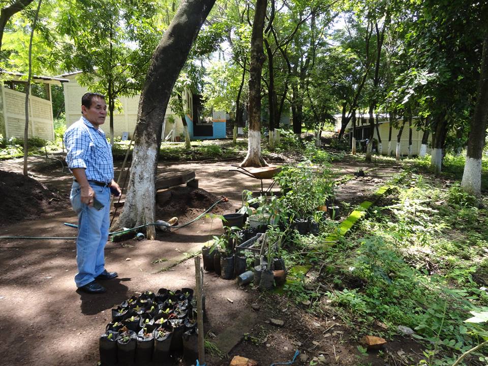 Trabajos de Mantenimiento en Vivero Forestal