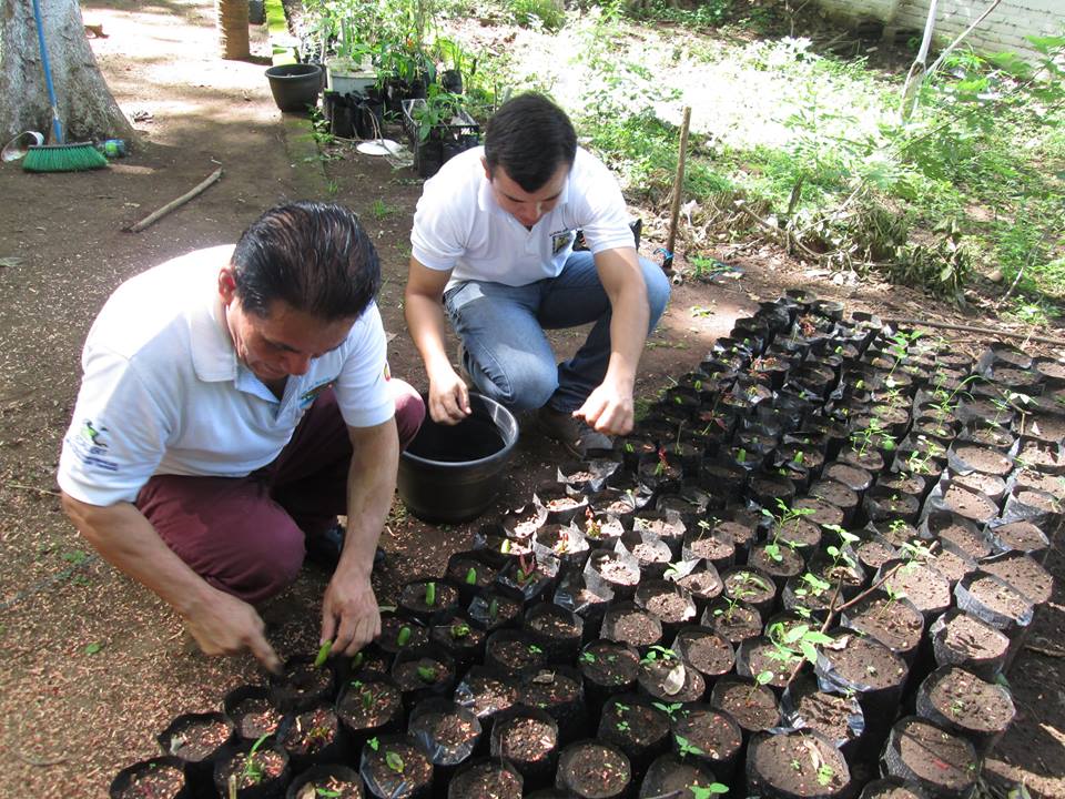 Siembra de Arbolitos de Paterna en el Vivero Forestal