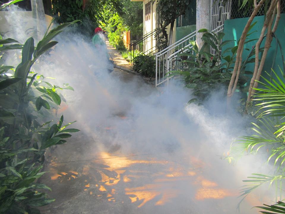Municipalidad Realizó Fumigación en Colonia Masferrer