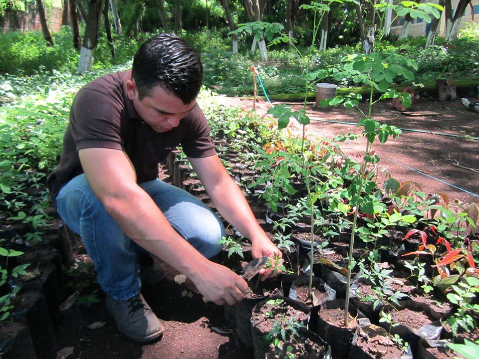 Trabajos de Mantenimiento en el Vivero Forestal