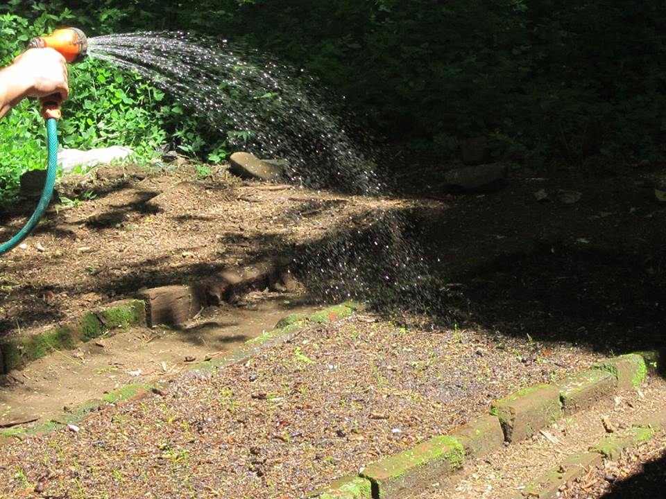 Preparan Vivero Ornamental en Centro de Gobierno Municipal