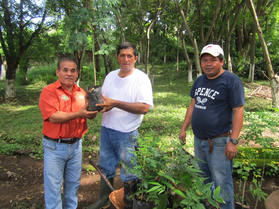 Entrega de 50 árboles a Habitantes de Col Córdova