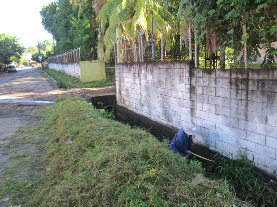 Ornato y Limpieza en la 8ª Avenida Norte