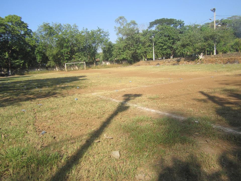 Poda y Limpieza en Cancha de Colonia Masferrer