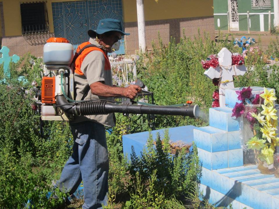 Fumigación Con Herbicida En Cementerio General