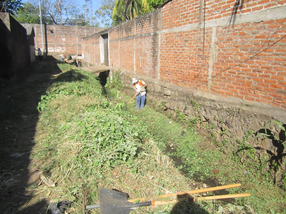 Limpieza y Poda de Maleza en Quebrada