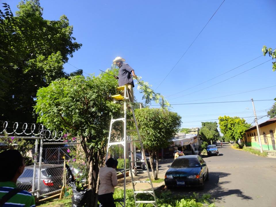 Poda de arbustos en las instalaciones de Ciudad Mujer