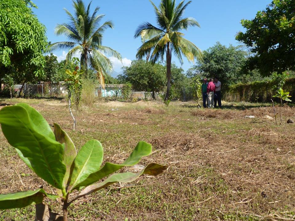 Inspección del Proyecto de Arborización en Colonia La Usuluteca