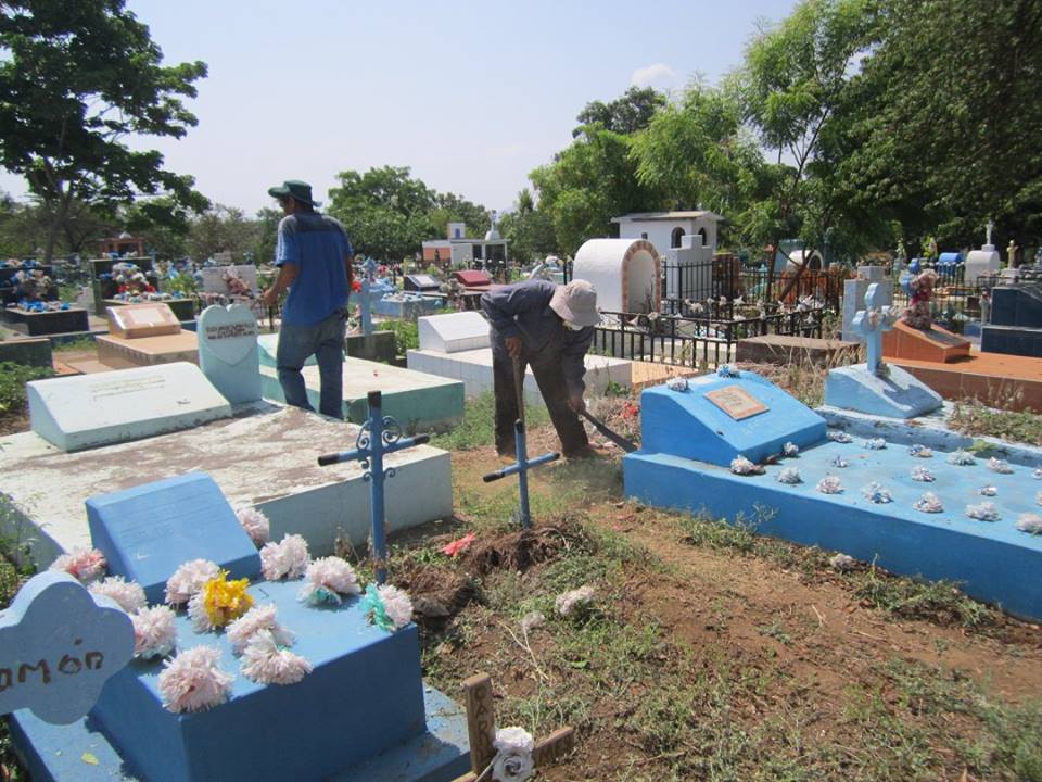 Poda y Limpieza de Maleza en Cementerio Norte